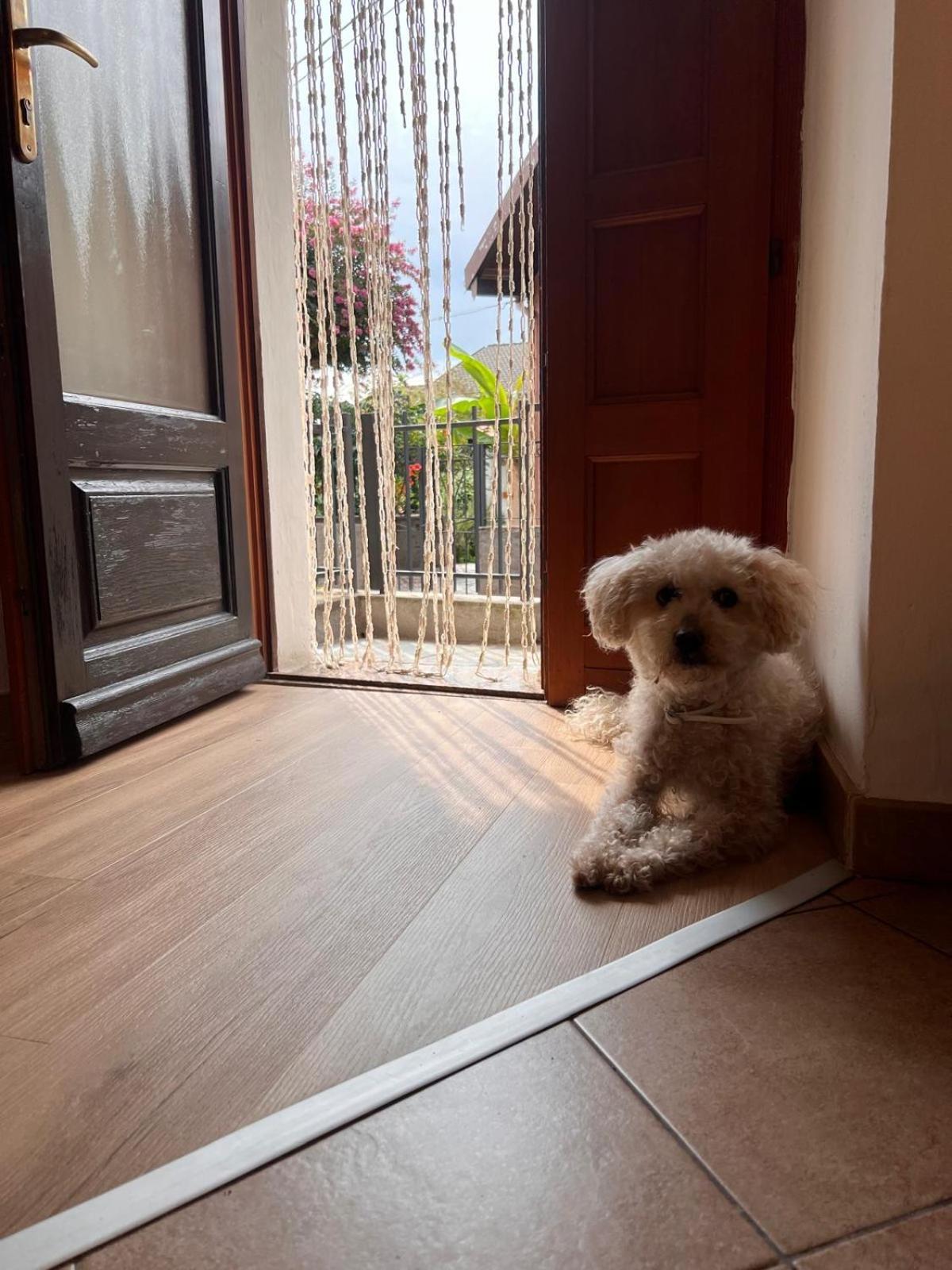Apartment Ca Dai Noni Feriolo Kültér fotó