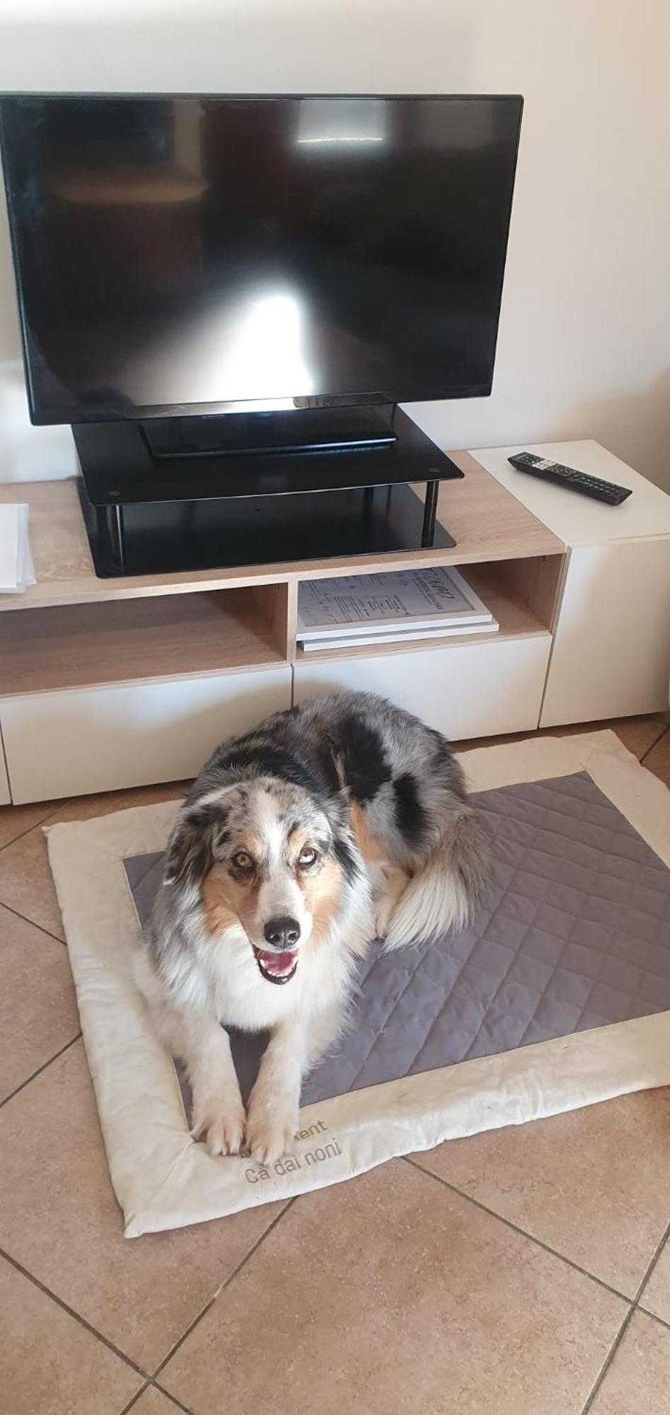 Apartment Ca Dai Noni Feriolo Kültér fotó
