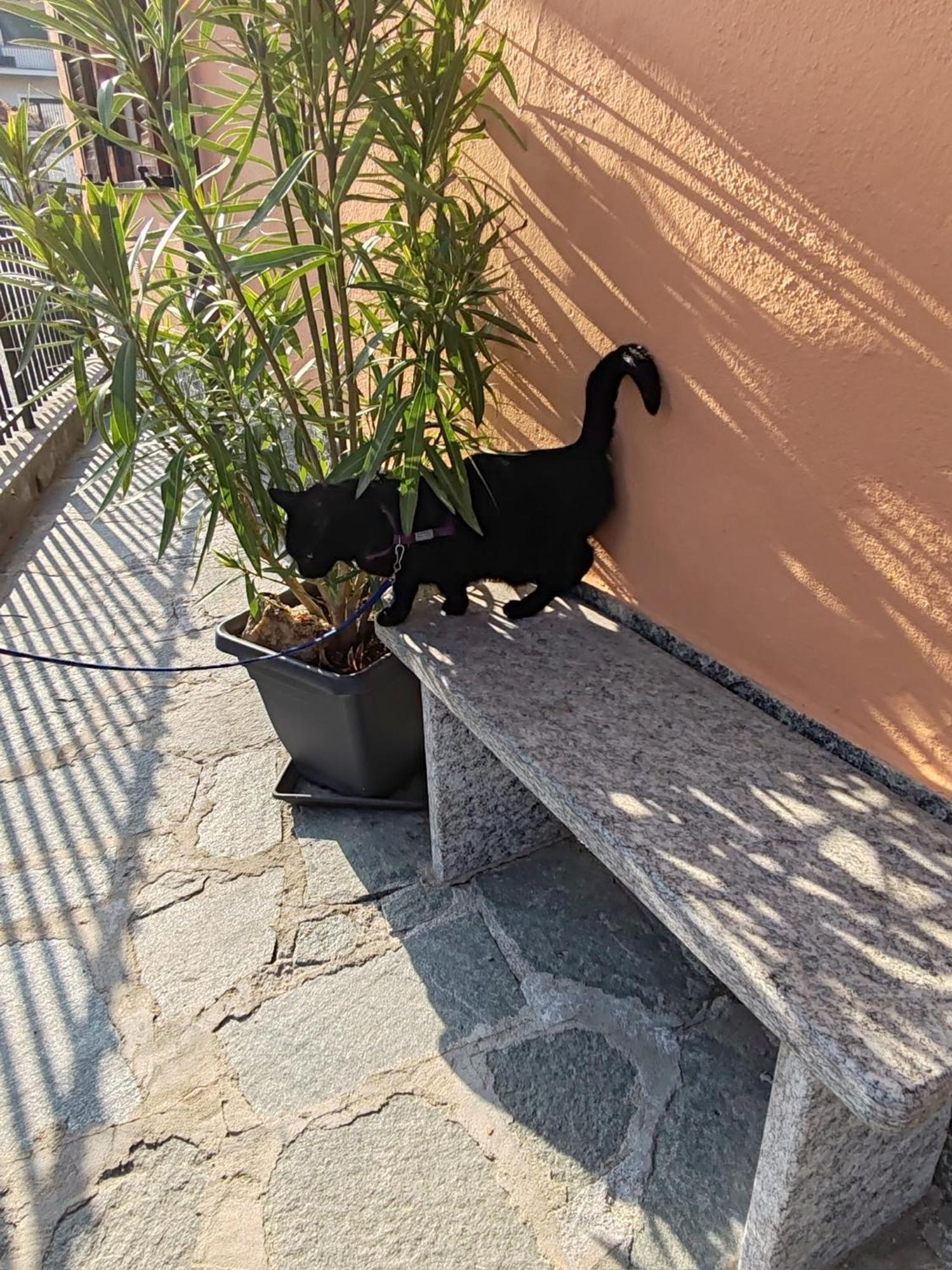 Apartment Ca Dai Noni Feriolo Kültér fotó